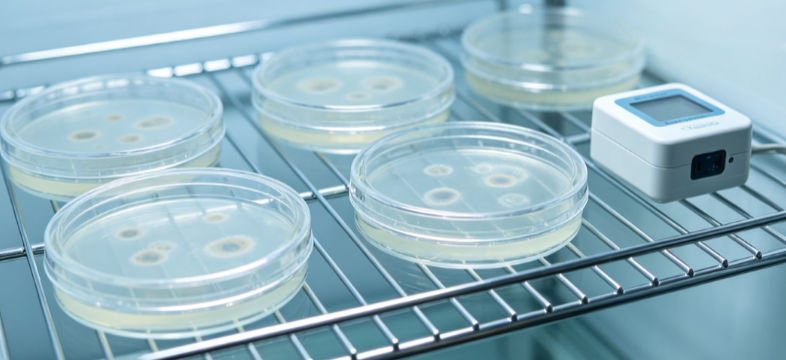 Cleanliness and Contamination Assessment of CO₂ Incubators