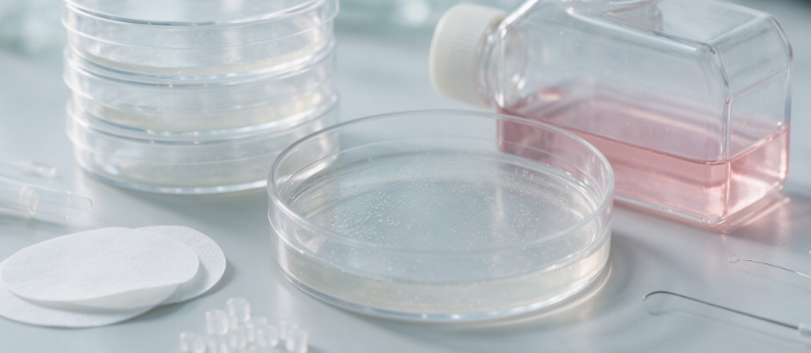 Mycoplasma Detection