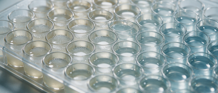 Minimum Inhibitory Concentration (MIC) Testing