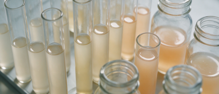 Acid‑Producing Bacteria (APB) Detection and Characterisation