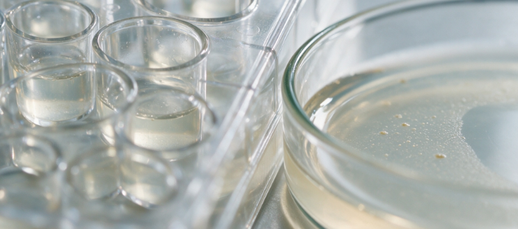 Minimum Bactericidal Concentration (MBC) Testing