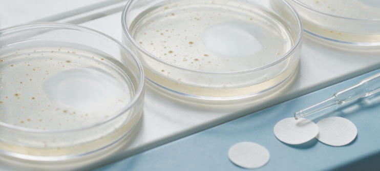 Disinfectant Efficacy Testing