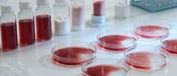 Assessment of Congo Red Decolorising Agents