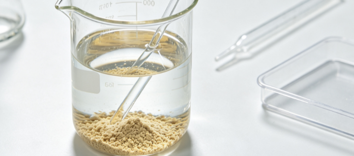 Characterization of Ferric Chloroborate